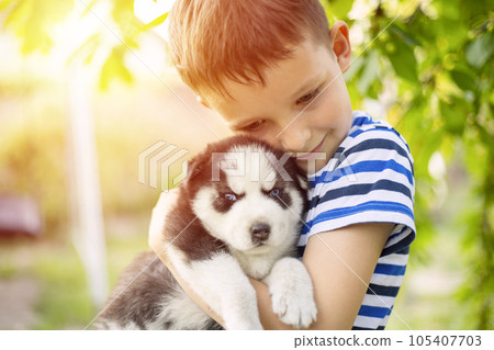 A little boy in a striped T-shirt hugging husky puppy outdoors. 105407703