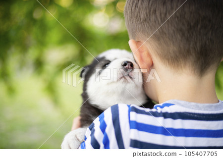 A little boy in a striped T-shirt hugging husky puppy outdoors. 105407705