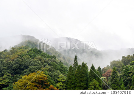 城崎溫泉後面的山_晨霧後面的山_幽靈公主的森林風 城崎溫泉後面的山_晨霧後面的山_幽靈公主的森林風 105407918