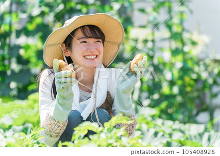 在地裡挖土豆的農民/生產者婦女/家庭主婦（亞洲/日本/中國） 105408928