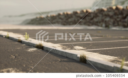 car parking on the beach in California car parking on the beach in California 105409334