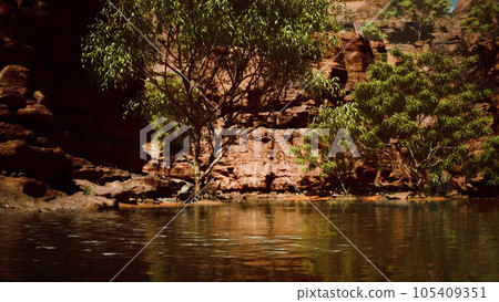 colorado river with gorgeous sandstone walls and canyons colorado river with gorgeous sandstone walls and canyons 105409351