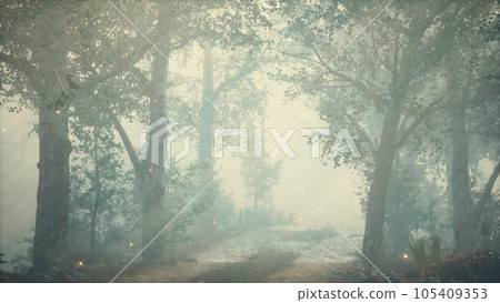 foreat at hight with bright moon light 105409353