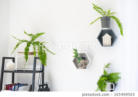 Shelves on the wall in the form of honeycombs with house plants in the white interior of the house. Modern decor Houseplant caring for indoor plant, green home 105409503