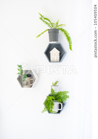 Shelves on the wall in the form of honeycombs with house plants in the white interior of the house. Modern decor Houseplant caring for indoor plant, green home Shelves on the wall in the form of honeycombs with house plants in the white interior of the house. Modern decor Houseplant caring for indoor plant, green home 105409504