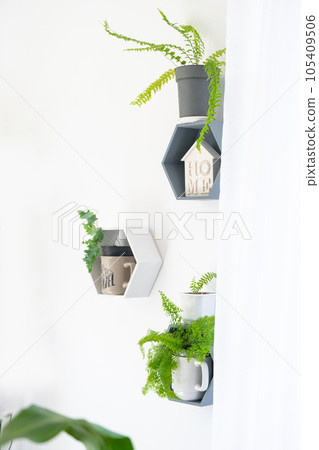 Shelves on the wall in the form of honeycombs with house plants in the white interior of the house. Modern decor Houseplant caring for indoor plant, green home Shelves on the wall in the form of honeycombs with house plants in the white interior of the house. Modern decor Houseplant caring for indoor plant, green home 105409506