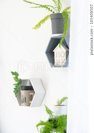Shelves on the wall in the form of honeycombs with house plants in the white interior of the house. Modern decor Houseplant caring for indoor plant, green home 105409507