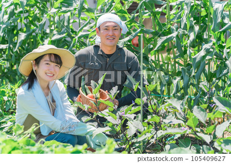 Women, men, couples of farmers and producers harvesting vegetables in the field (Asian, Japanese, Chinese) Women, men, couples of farmers and producers harvesting vegetables in the field (Asian, Japanese, Chinese) 105409627