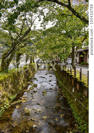 Streets of Kinosaki Onsen_A walk in the hot spring town with cobblestones and wooden bridges Streets of Kinosaki Onsen_A walk in the hot spring town with cobblestones and wooden bridges 105410789