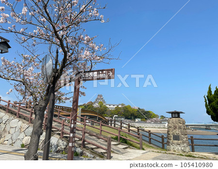 Karatsu Castle in Saga Prefecture, which can be seen beyond the cherry blossoms, and a guide to the pier leading to Hoto Shrine, which is famous for winning the lottery in Takashima 105410980