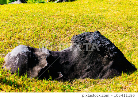 清澄花園石 清澄花園石 105411186