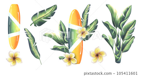 Surfboard in yellow and green with stripes with tropical leaves and frangipani flowers. Watercolor illustration hand drawn. Set of isolated elements on a white background. 105411601