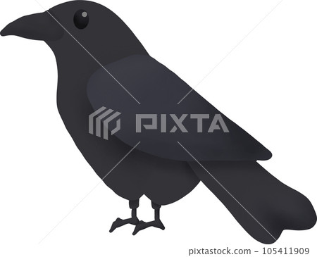Halloween animal bird, witch's raven clipart Halloween animal bird, witch's raven clipart 105411909