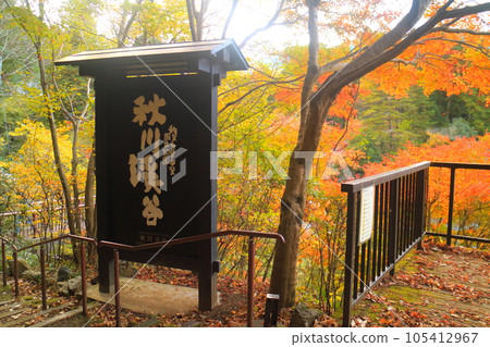 秋天的秋川谷 秋天的秋川谷 105412967