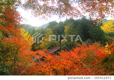 Akigawa Valley in autumn Akigawa Valley in autumn 105412971