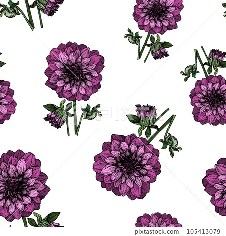 Dahlia color pattern, can be used for printing,textiles,wrapping paper of various designs, office, for clothing. 105413079