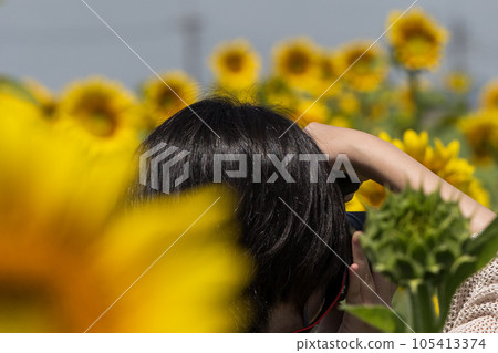 女人看著向日葵 女人看著向日葵 105413374