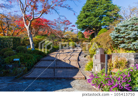 日本主要旅遊目的地之一箱根的秋天,箱根強羅公園有秋葉 日本主要旅遊目的地之一箱根的秋天,箱根強羅公園有秋葉 105413750