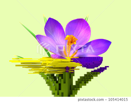 3d glitch of flower crocus. NFT concept. 105414015