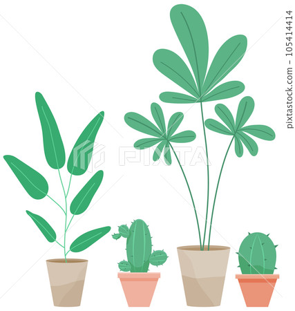 Decorative set green plant with long leaves in ceramic pot, pot with houseplant. Home interior plant Decorative set green plant with long leaves in ceramic pot, pot with houseplant. Home interior plant 105414414