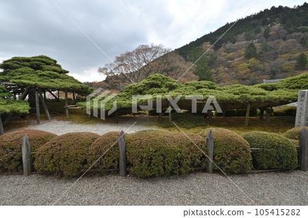 湯龍松 湯龍松 105415282