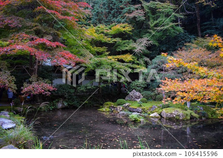 [Kyoto sightseeing in autumn] Nanzen-in Temple and Tenju-an _ Autumn leaves in Japanese garden 105415596