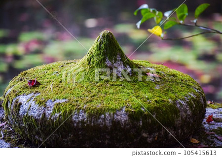 [Kyoto sightseeing in autumn] Nanzen-in Temple and Tenju-an _ Autumn leaves in Japanese garden 105415613