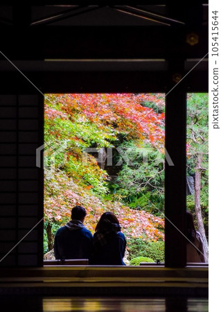 [京都秋季觀光]南禪院和天壽庵_日本庭園秋葉和約會情侶 105415644