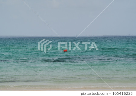 Blue sea white sandy beach of the south island 105416225