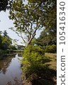 從樹之間看到的池塘 105416340