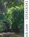 景觀與綠色 105416341