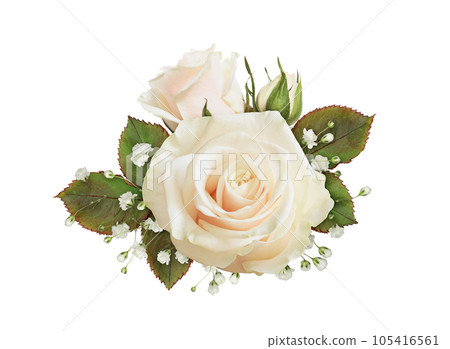 Floral arrangement with cream rose and gypsophila flowers isolated Floral arrangement with cream rose and gypsophila flowers isolated 105416561