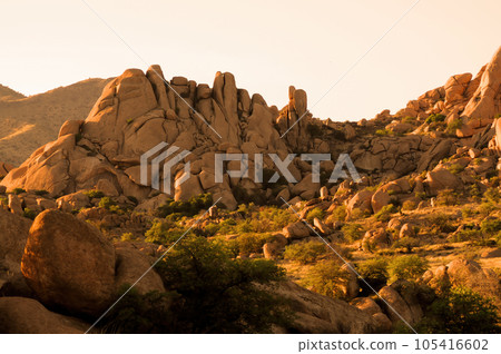 Texas Canyon Sonora Desert Arizona Sunset Texas Canyon Sonora Desert Arizona Sunset 105416602