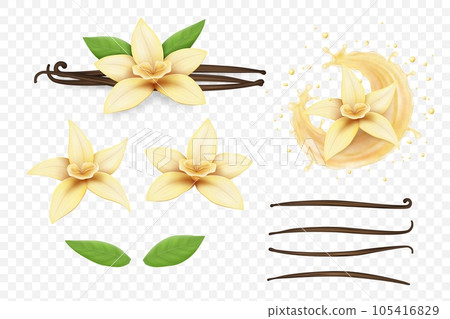 Vanilla flower. Milk splash, bean, pods and sticks, realistic isolated on transparent background elements, flavour cream, perfume aroma, liquid drops. Food and cosmetics packaging. Vector set 105416829