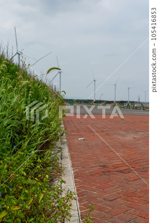 grass growing on the bank 105416853