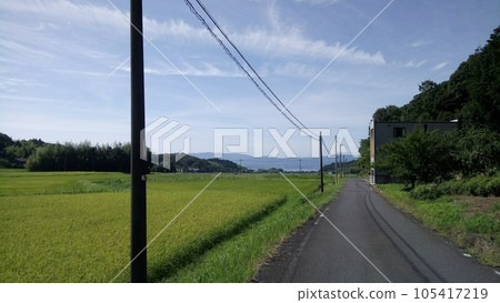 綠色的稻田和無盡的道路 綠色的稻田和無盡的道路 105417219