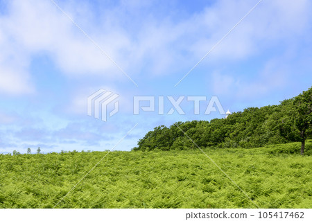 知床 Furepe 瀑布周邊散步 知床 Furepe 瀑布周邊散步 105417462