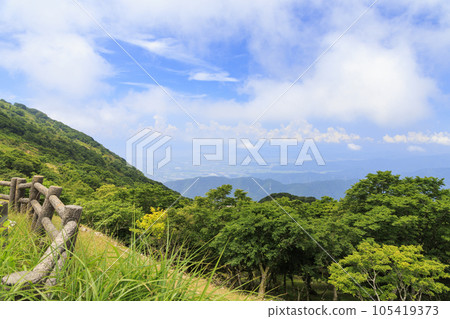 夏天的伊吹山,高山植物盛開 夏天的伊吹山,高山植物盛開 105419373