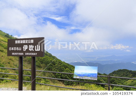 夏天的伊吹山,高山植物盛開 夏天的伊吹山,高山植物盛開 105419374