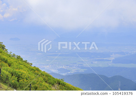 夏天的伊吹山，高山植物盛開 105419376
