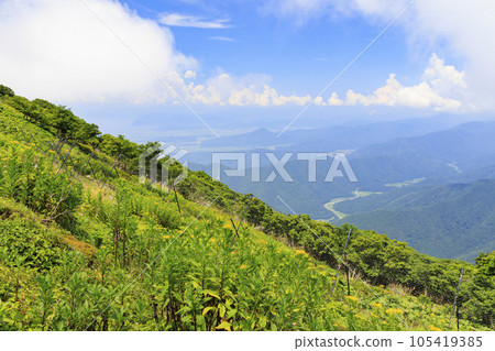 Mt. Ibuki in summer with alpine plants blooming Mt. Ibuki in summer with alpine plants blooming 105419385