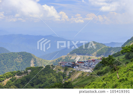 夏天的伊吹山，高山植物盛開 105419391