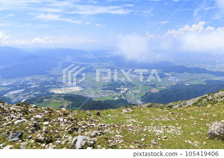 夏天的伊吹山，高山植物盛開 105419406