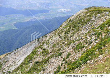 Mt. Ibuki in summer with alpine plants blooming Mt. Ibuki in summer with alpine plants blooming 105419408
