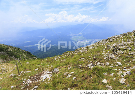 夏天的伊吹山，高山植物盛開 105419414