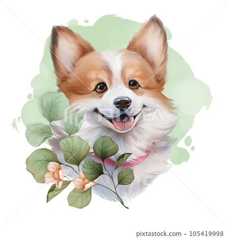 Cute corgi dog. Illustration of puppy and flowers. Hand painted 105419998