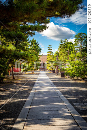 妙心寺的夏天，通往大方城道路的夏日風景 105420839