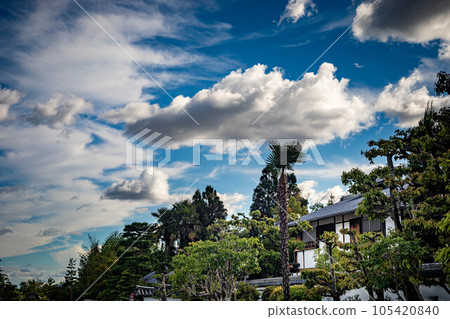 妙心寺的夏天、臨華院、智照院的白牆以及夏日的天空 105420840