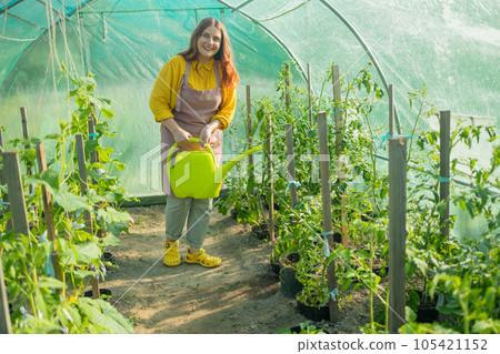 Gardener waters the plants in the greenhouse with a watering can. Female working with plants as hobby or leisure occupation. Taking care of home garden concept Gardener waters the plants in the greenhouse with a watering can. Female working with plants as hobby or leisure occupation. Taking care of home garden concept 105421152