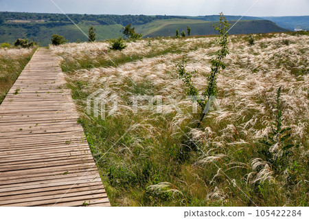 Summer landscape with wooden boardwalks 105422284